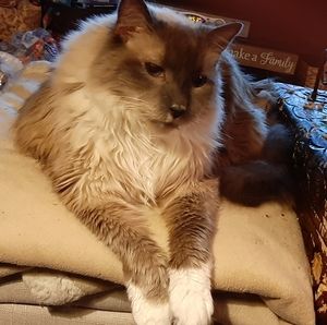 Meet your Posher, Vickie